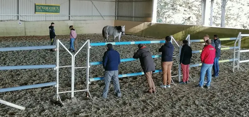 Centre Equestre de Cavaillon