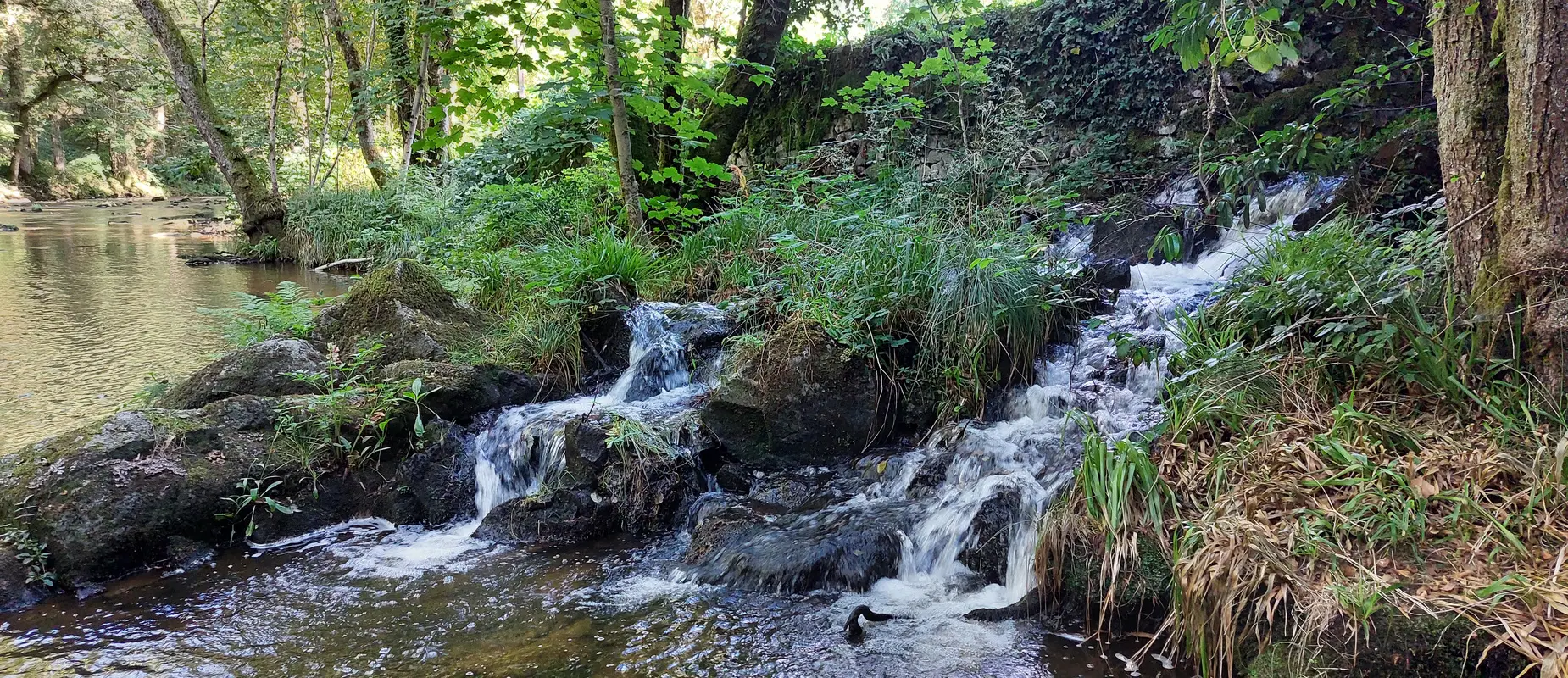Moulin Sage Gites & Retreats