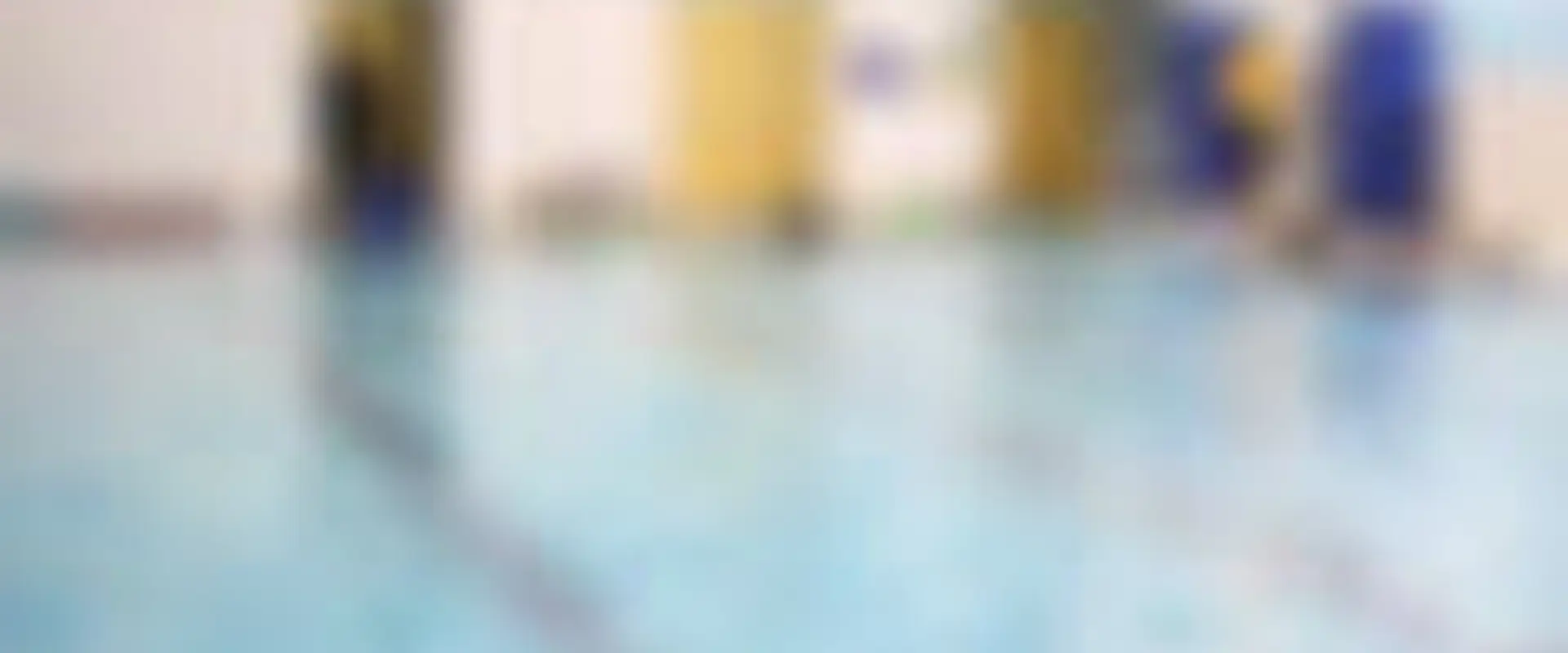Ducks to Sharks | Swim School