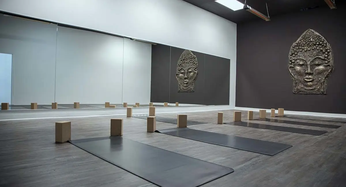 Studio Yoga Tribe