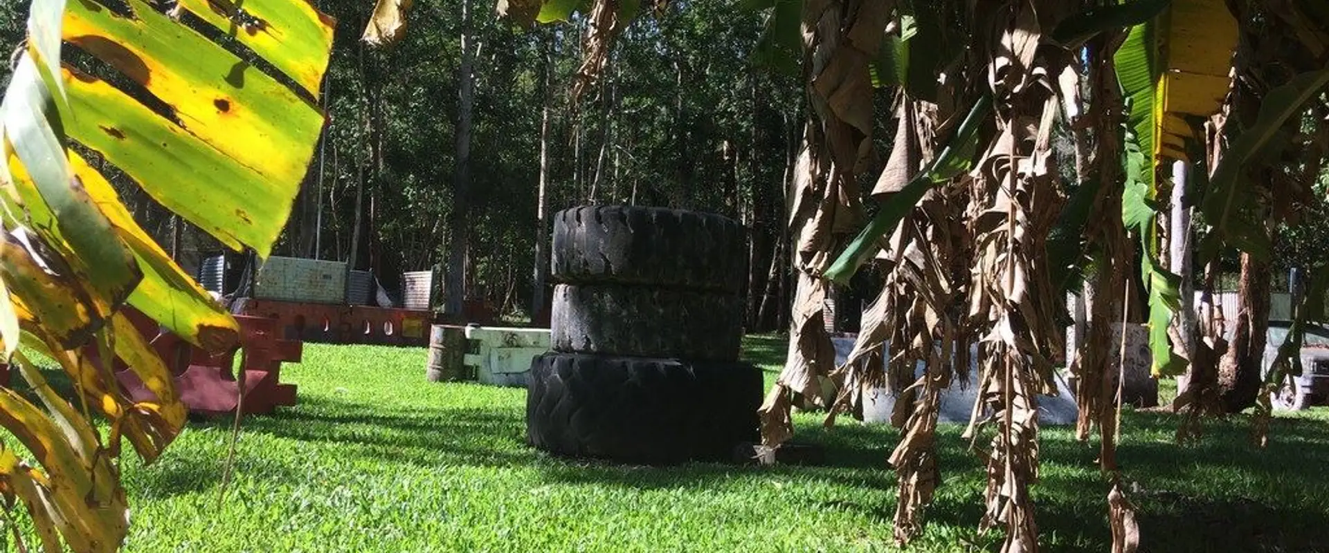 Odyssey Paintball