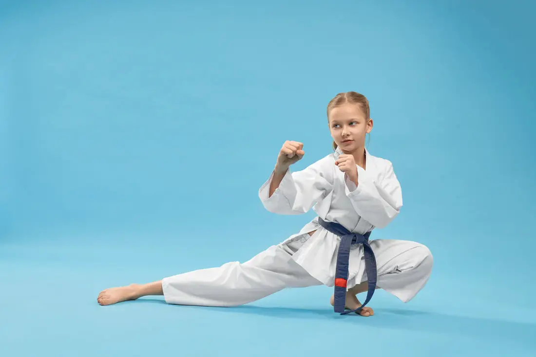 Delhi Karate Classes