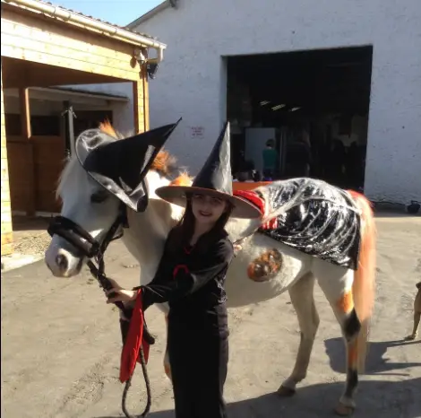 Poney club - L'Isle-Adam