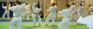 Hamilton Koryukan
