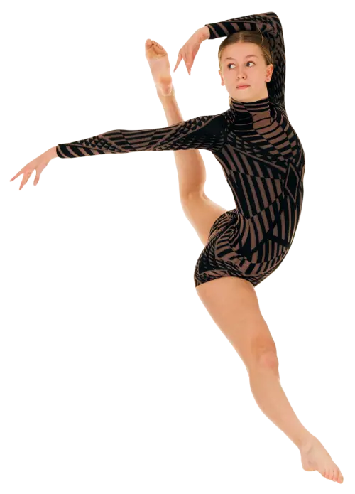 Vanleena Dance Academy