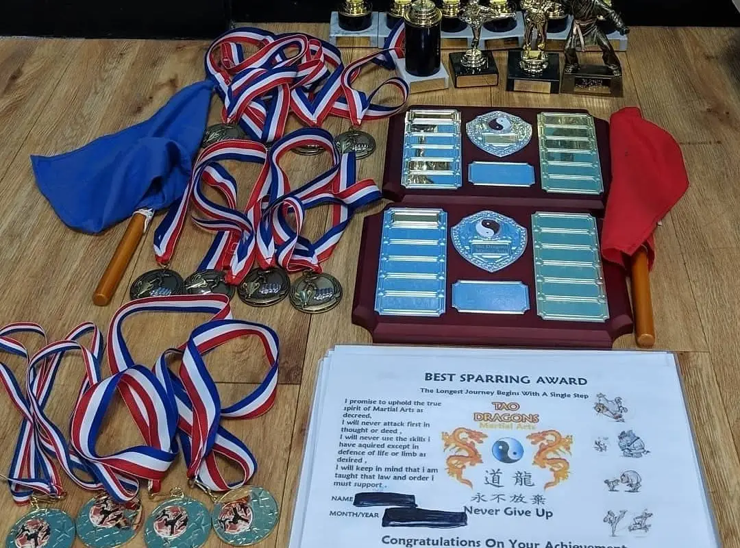 Tao Dragons Martial Arts @ Across Sussex .
