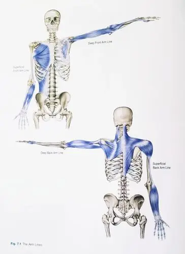 Detailed Fitness