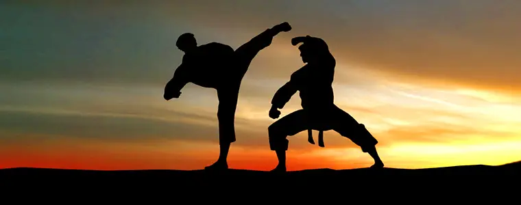 SHAOLIN KUNGFU & YOGA, MARARI SCHOOL