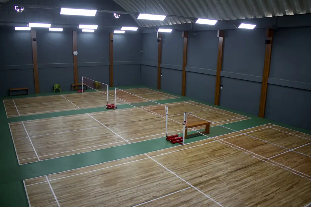 Blaze sports