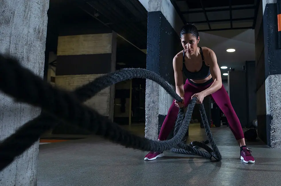 The WellFit Programme