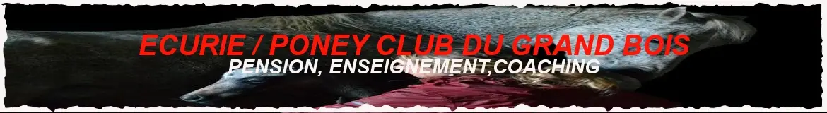 ECURIE PONEY CLUB DU GRAND BOIS