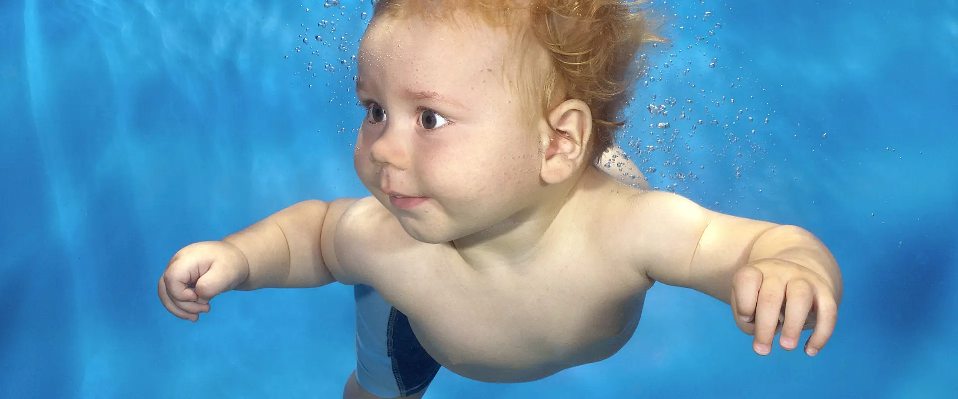 Baby Swimmers