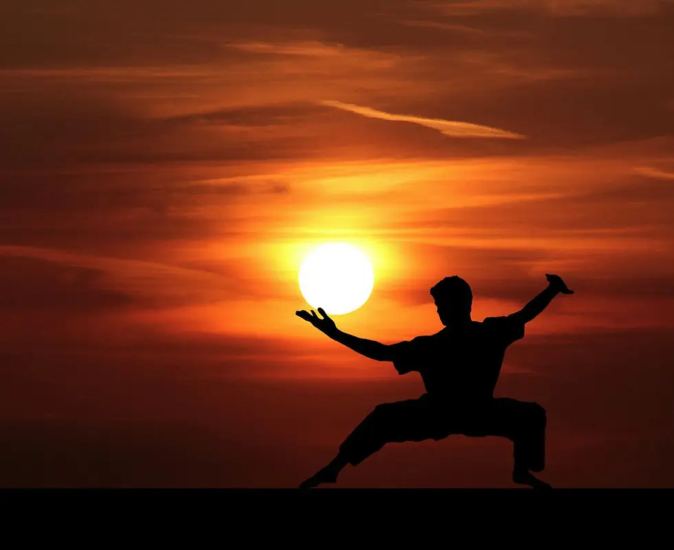Animal Spirit Martial Arts Academy