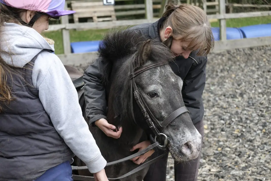 Summerfield Stables
