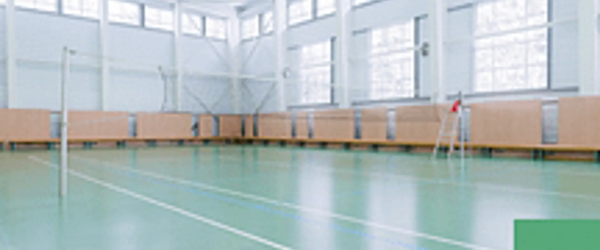 The Truewellness - Fitness Equipment & Gym Equipment Shop
