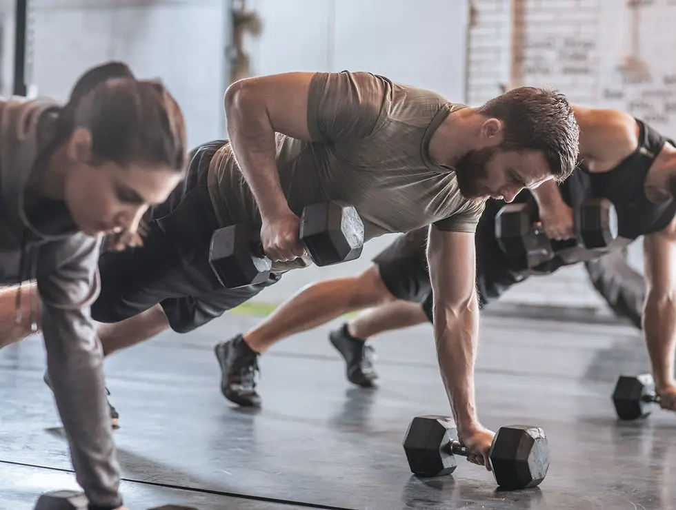 Alpha Gym