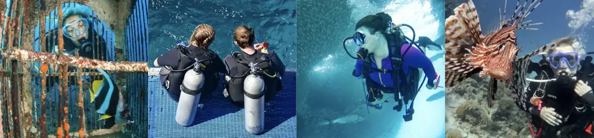 Dive Odyssea