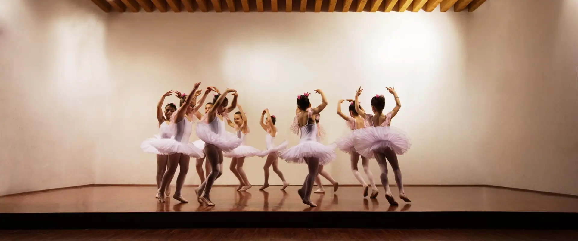 Two Sisters Dance Projects, Inc.