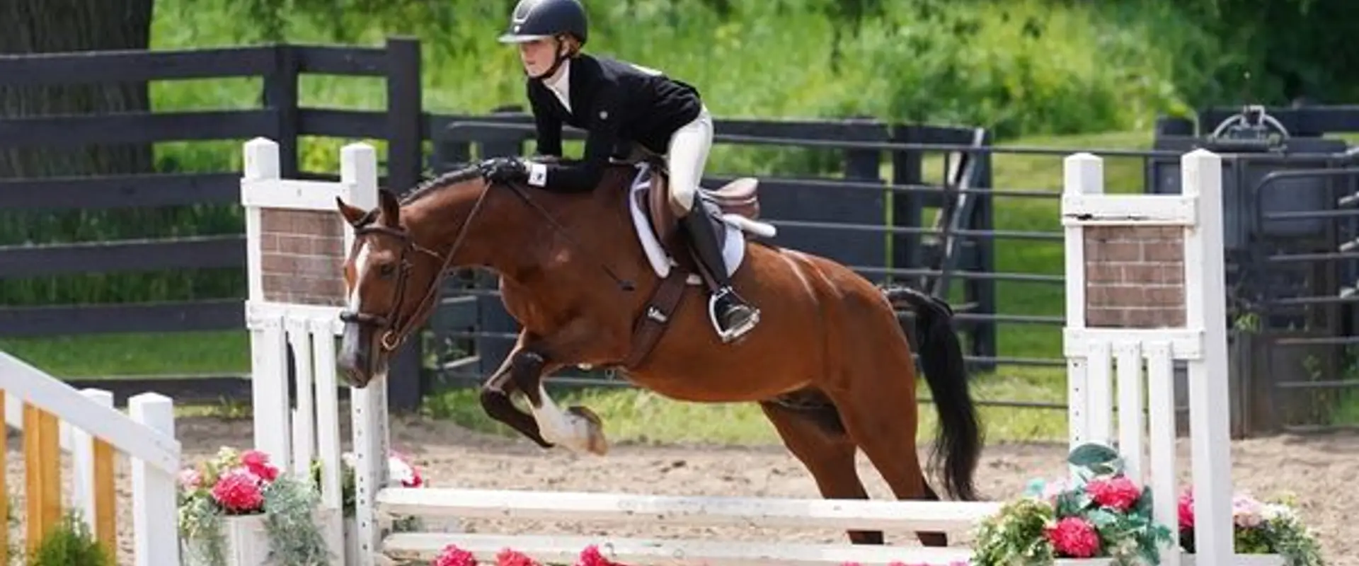 Greyden Equestrian