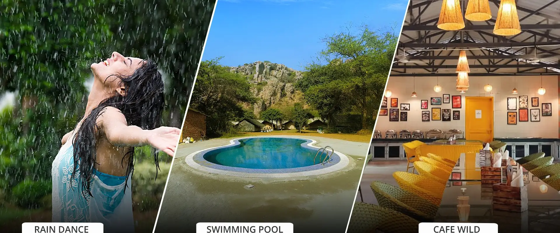 Camp Wild at Aravali Valley