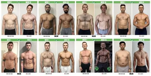 Visfit