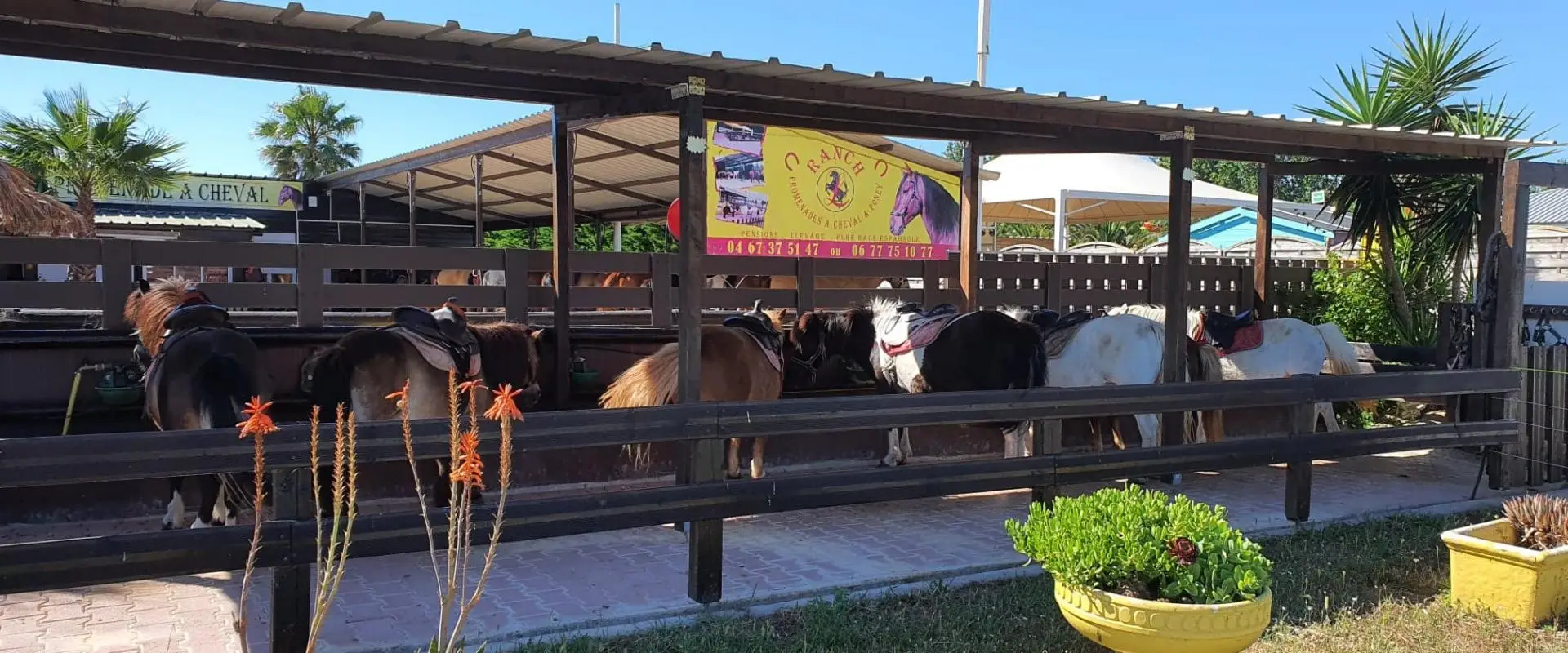 Ranch L