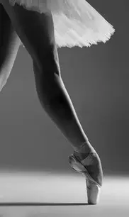 Demi-Pointes