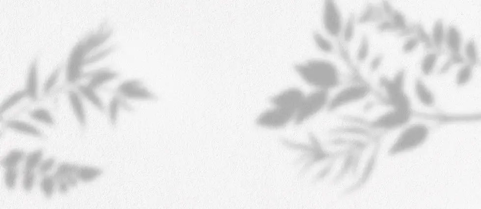 Les Vents Du Silence