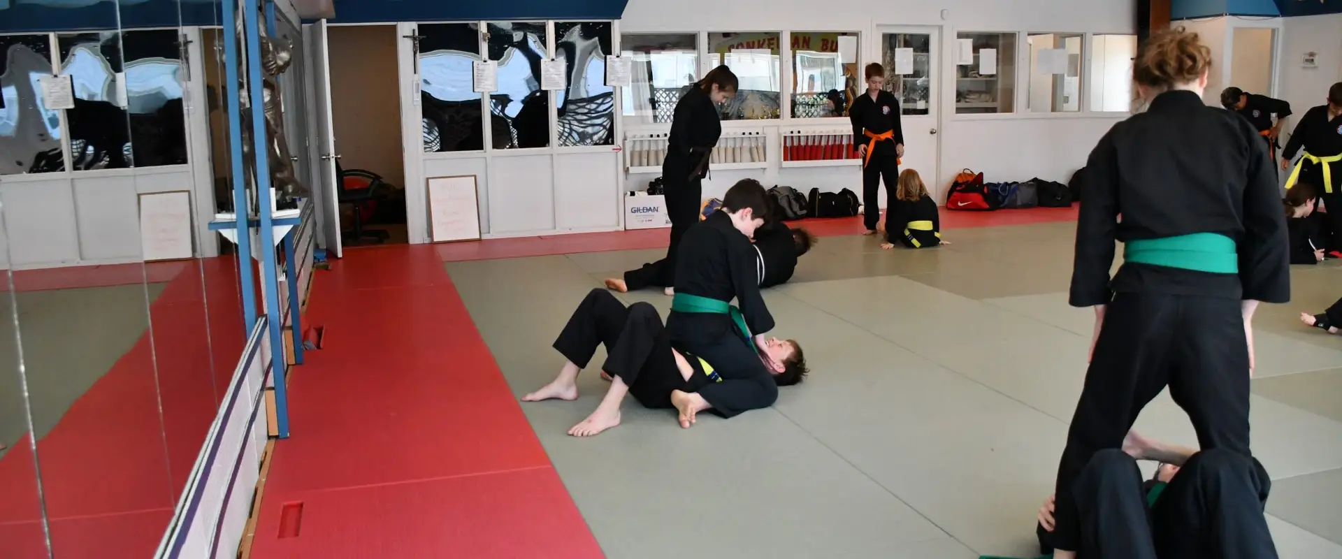 Sonkeikan Budo