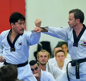 Taekwondo Cagnes Sur Mer