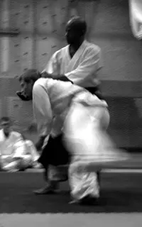 St Ives Aikido Dojo