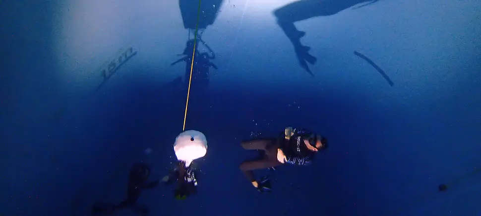 Freedive Evolution