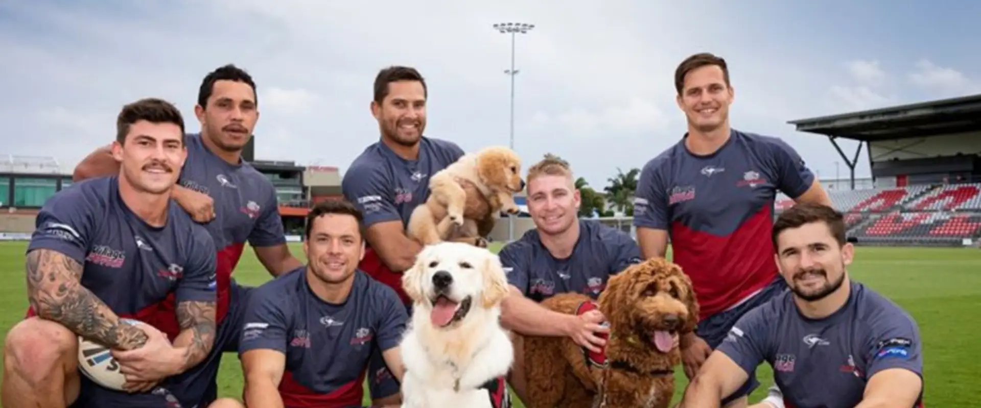 Redcliffe Dolphins Rugby League