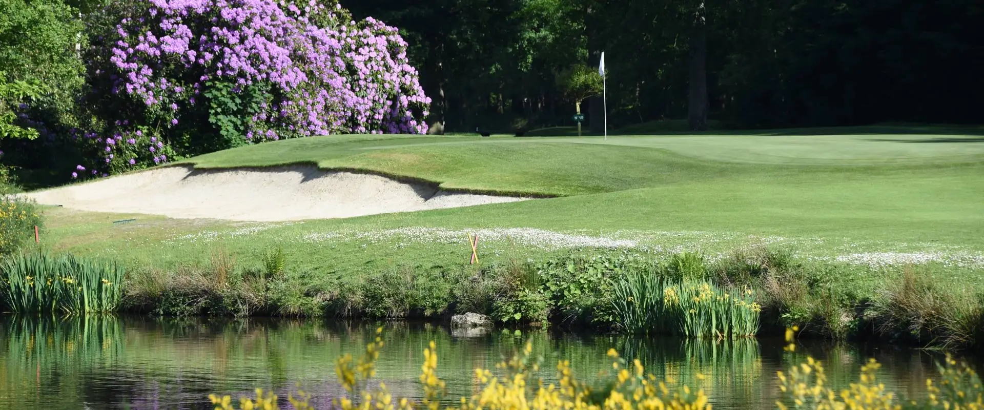 Golf Isabella