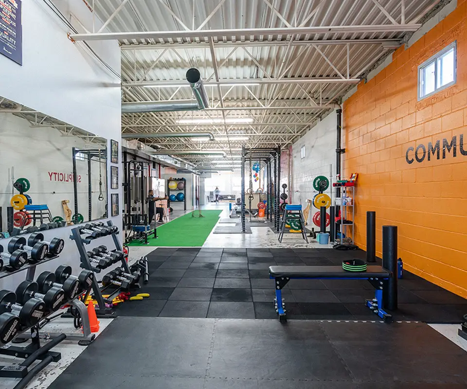 Iron Lion Training