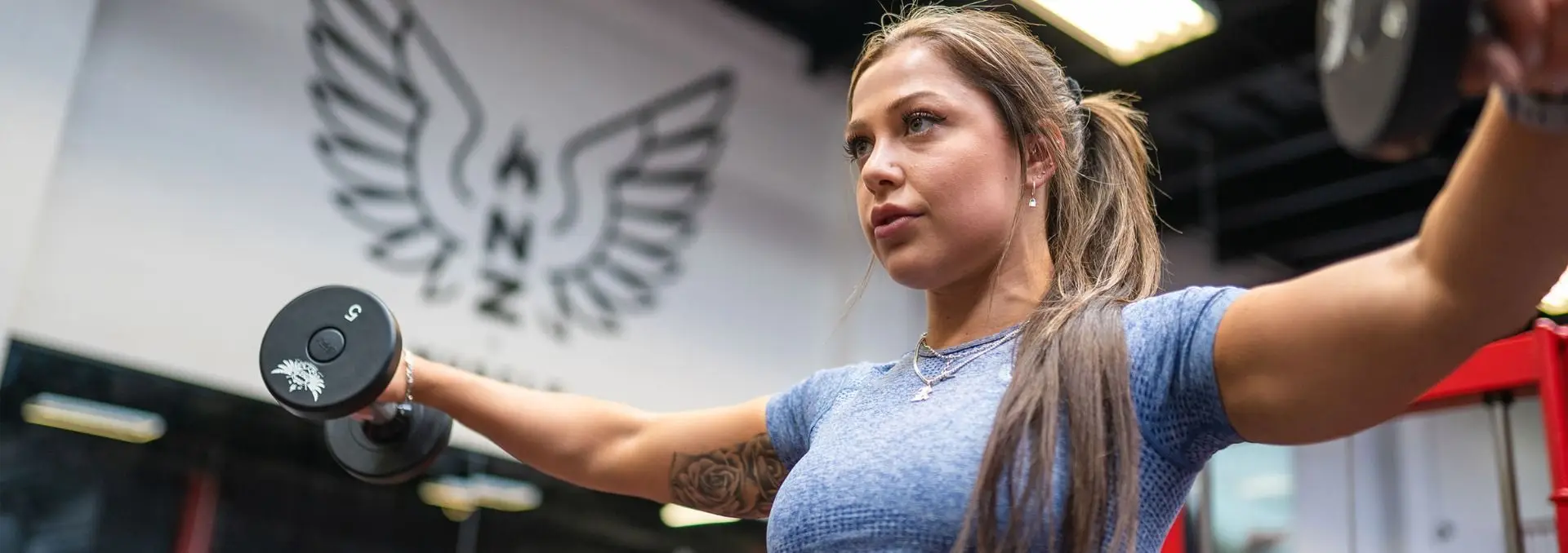 NZ Muscle Gym