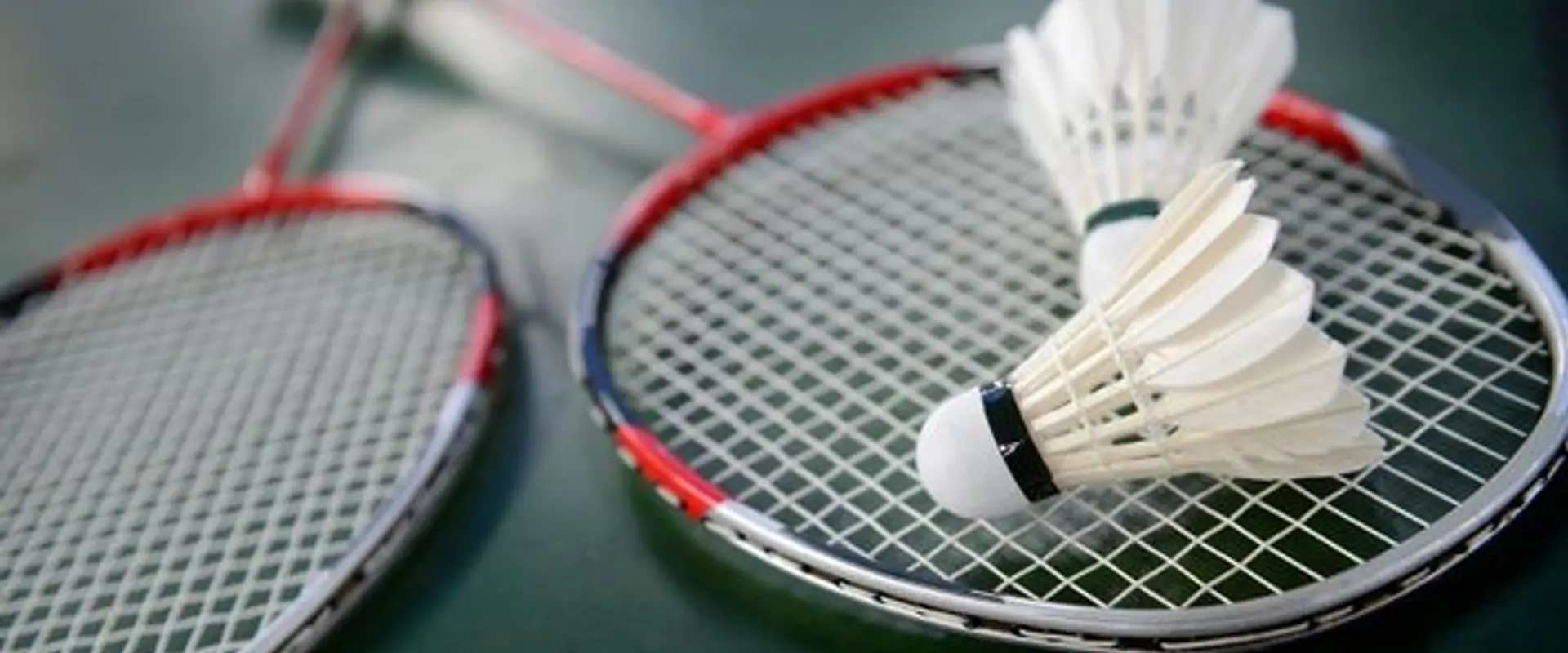 Yadav Pro Badminton Academy at Gokul Sports Arena