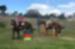 Anstead Acres