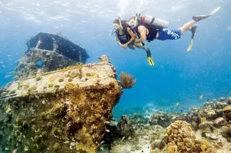 Amy's Scuba Connection