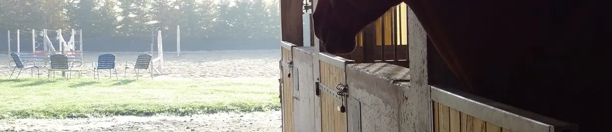 CENTRE EQUESTRE LE BOIS GERARD