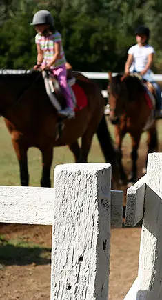 Mill House Equestrian Centre