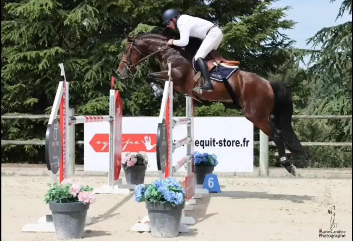 Stables Lecomte Lievaux