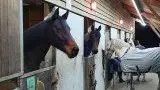 Ar Gwelann Riding