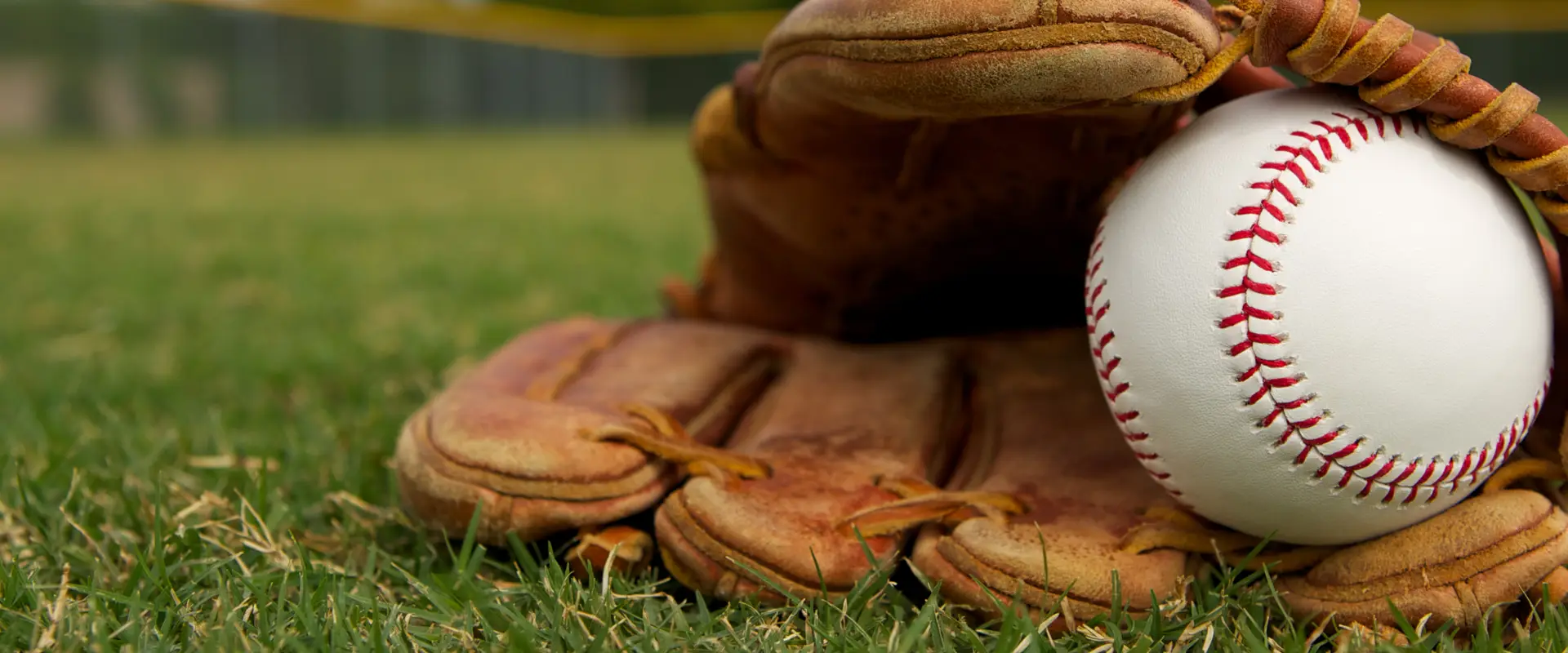 Baseball Queensland