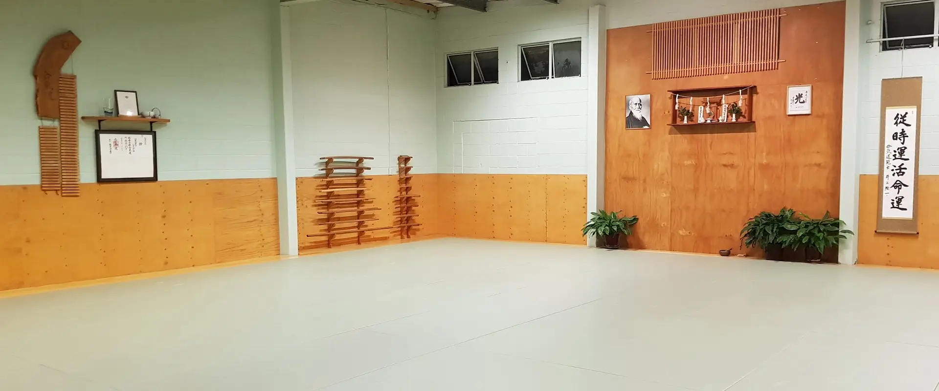 RIAI Aikido Learning Centre