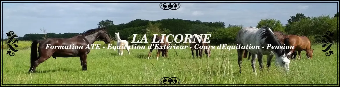 CENTRE EQUESTRE DE LA LICORNE