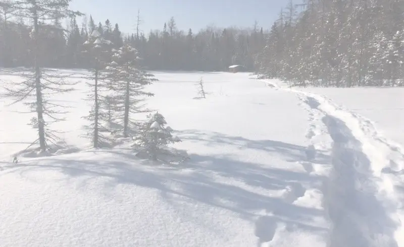 Ski de fond et raquette Estrel (Hors Limite)
