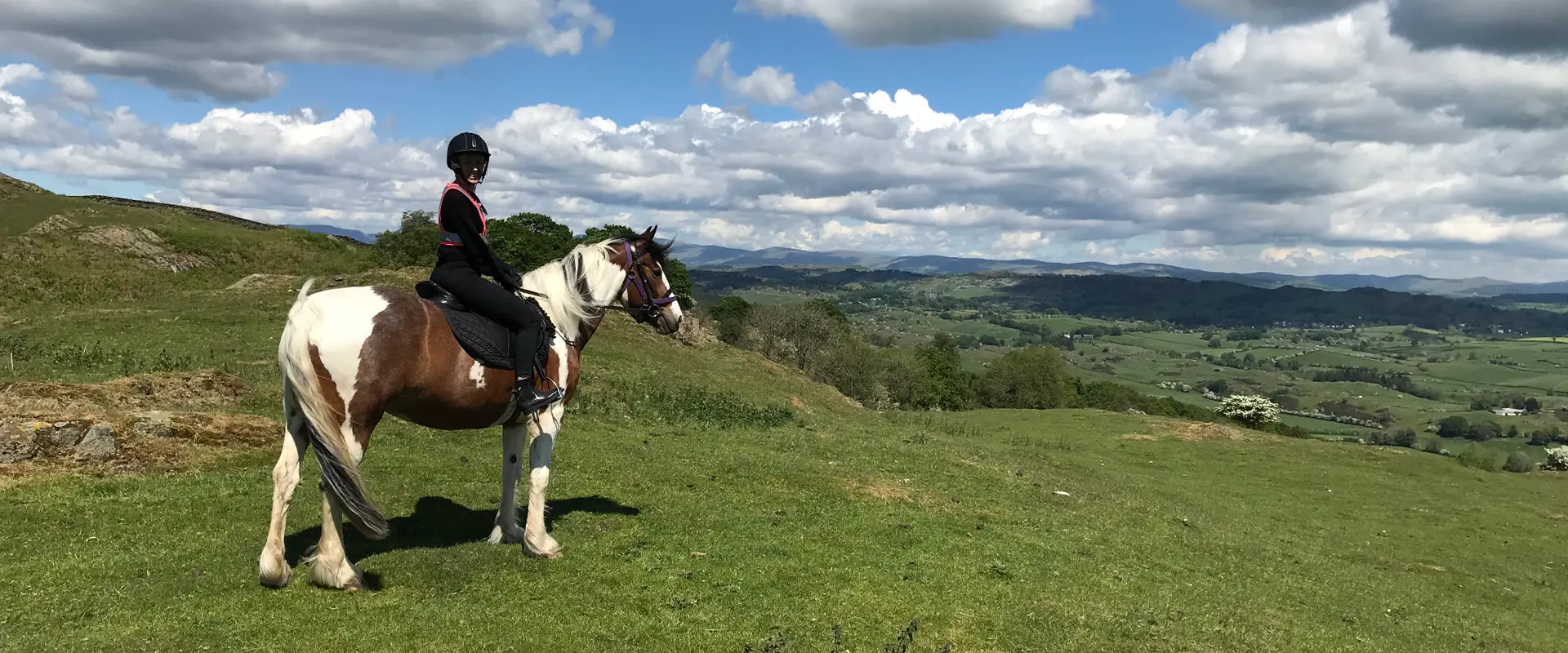 Witherslack Hall Equestrian Centre