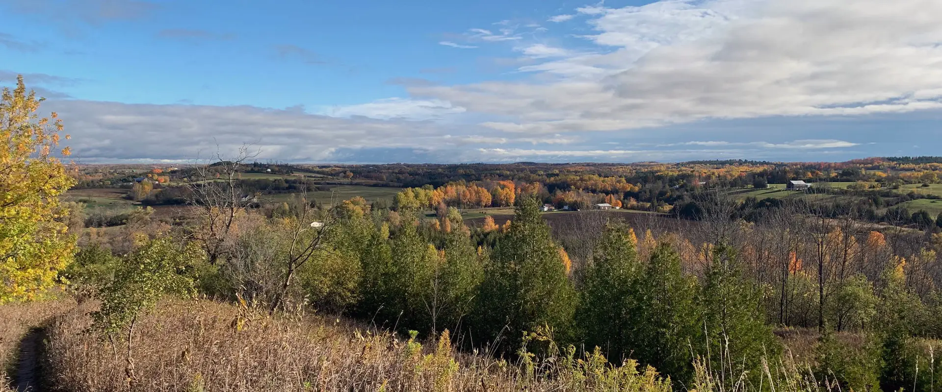 Harold Town Conservation Area