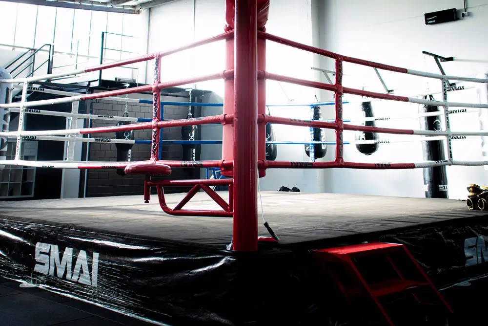 Brother Boxing